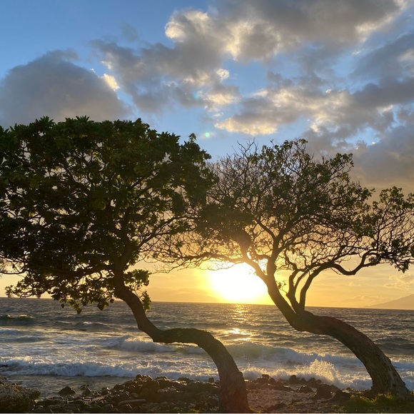 Meet your Posher, Minette - Picture 11 of 15